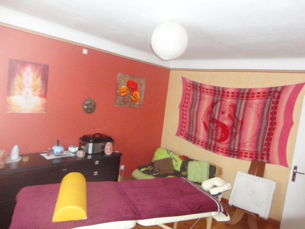 Freyming-Merlebach Chez Jpzen Nowicki Bed & Breakfast エクステリア 写真